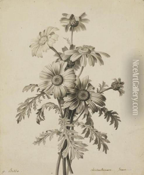 Bouquet De Chrysanthemes Oil Painting - Pancrace Bessa