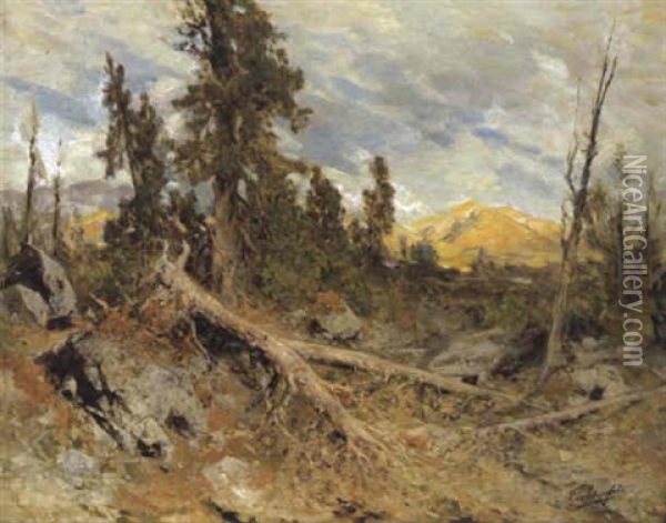 Windbruch Im Alpengebiet Oil Painting - Eduard Peithner Ritter von Lichtenfels
