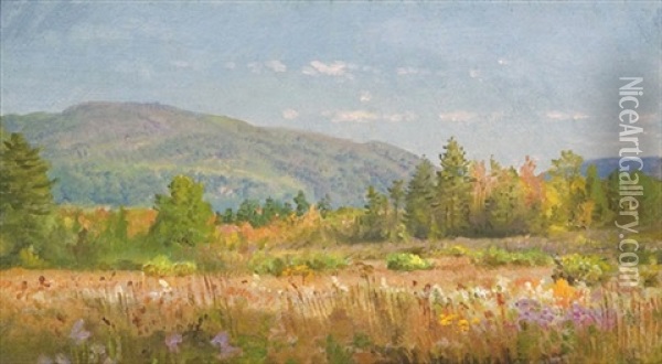 View Of Canaan Mountains, Connecticut Oil Painting - William Trost Richards