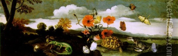 Natura Morta Con Fiori, Farfalle, Tartaruga, Granchio E Lucertola In Un Paesaggio Oil Painting - Paolo Porpora