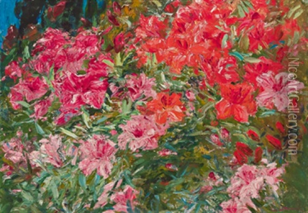 Gartenstudie Aus Der Villa Anjolina Oil Painting - Leontine (Lea) von Littrow