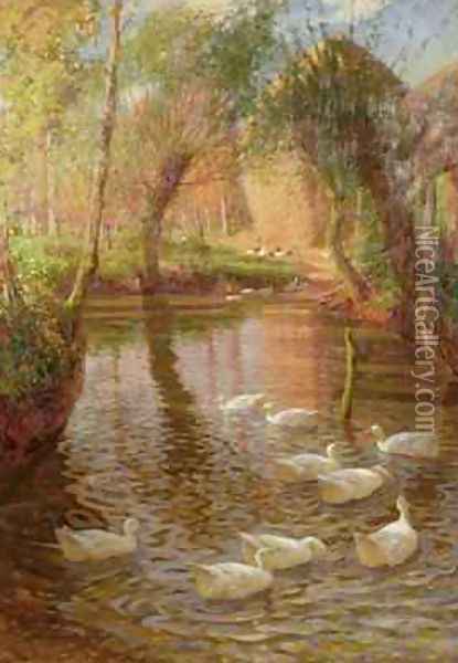 Ducks Oil Painting - Lindsay MacArthur