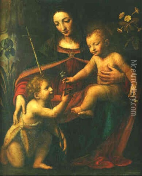 La Vierge Et L'enfant Avec Saint Jean-baptiste Oil Painting - Bernardino Luini