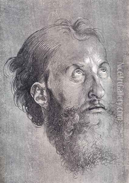 Head Of An Apostle Looking Upward Oil Painting - Albrecht Durer