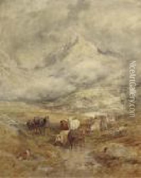 Cattle In A Highland Landscape Oil Painting - William Joseph Caesar Julius Bond