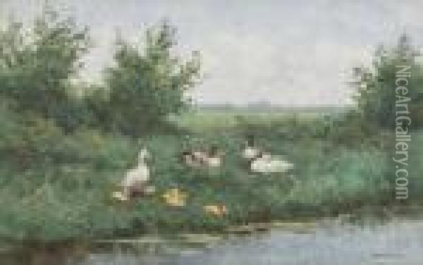Ducks On A Riverbank Oil Painting - David Adolf Constant Artz