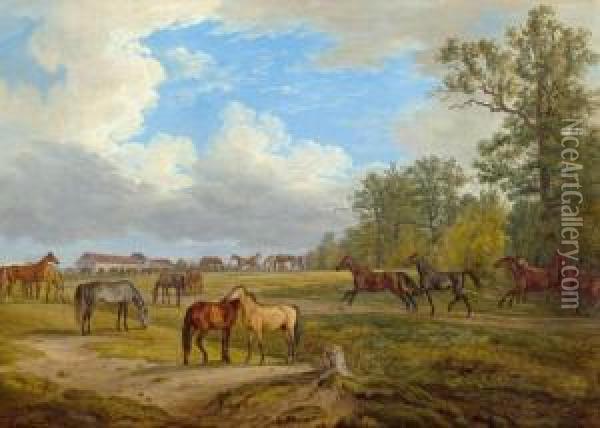 Horses In The Paddock Oil Painting - Adam Albrecht