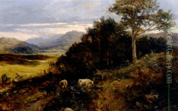 Spatsommerliche Schottische Landschaft Mit Heimkehrenden Kuhen Oil Painting - Joseph Denovan Adam