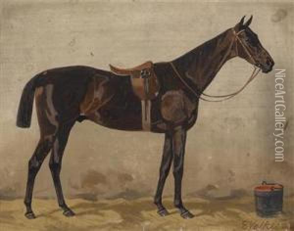 Bay In The Stable Oil Painting - Emil Volkers