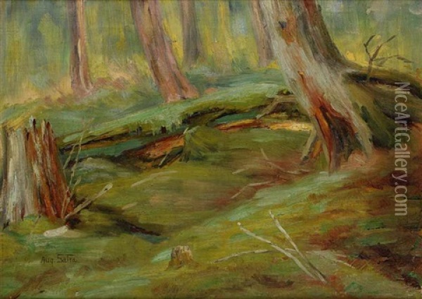 A Forest Interior Oil Painting - Augustin Satra