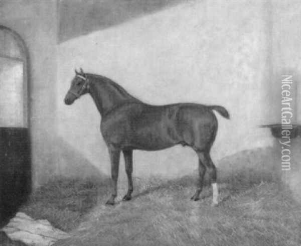 Braunes Rennpferd Im Stall Oil Painting - Albert Clark