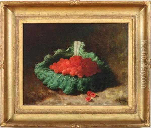 Raspberries On A Green Cabbage Leaf Oil Painting - Carducius Plantagenet Ream