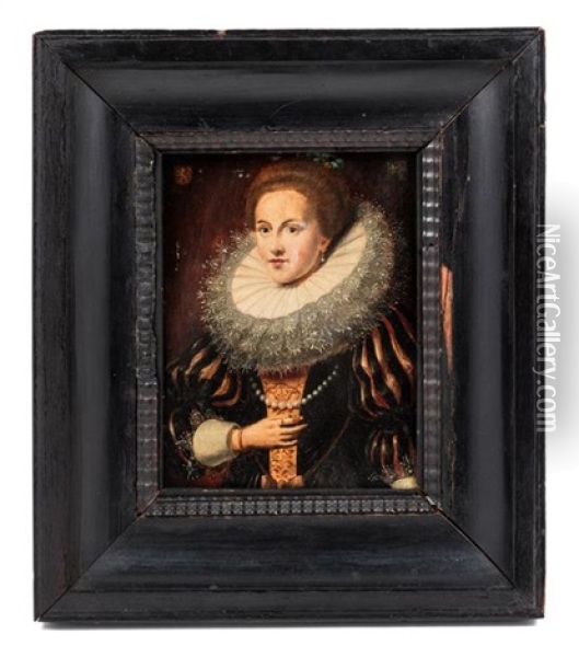 Portrait Of A Lady With A Lace Collar Oil Painting - Paul van Somer