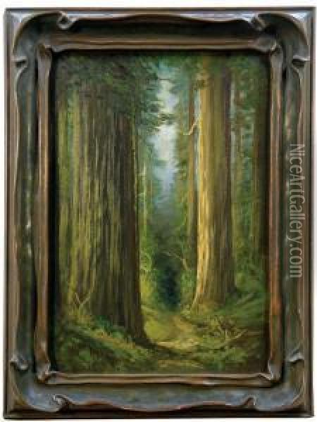 Redwood Grove Oil Painting - Tilden Dakin