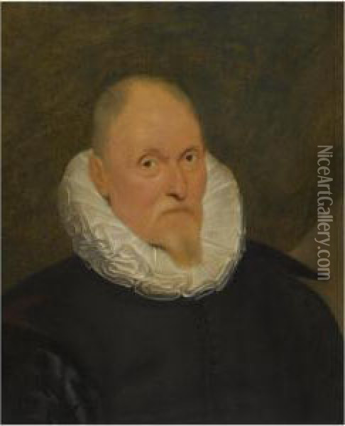 Portrait Of A Man, Head And Shoulders, With A Black Costume And A White Ruff Oil Painting - Cornelis De Vos
