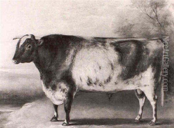 A Prize Shorthorn Bull - The Property Of W. Farr Esq. - In  A Landscape Oil Painting - William Henry Davis