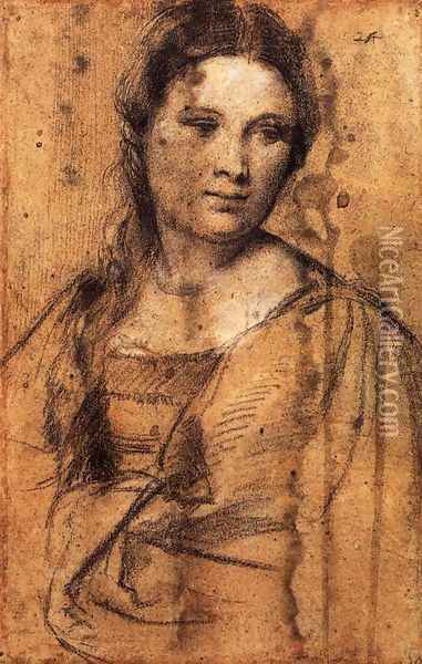 Portrait of a Young Woman (draw) Oil Painting - Tiziano Vecellio (Titian)