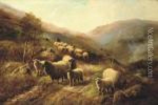 Shepherd Gathering His Flock Oil Painting - Robert Watson