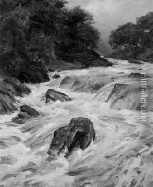 The Rapids Oil Painting - Louis Aston Knight
