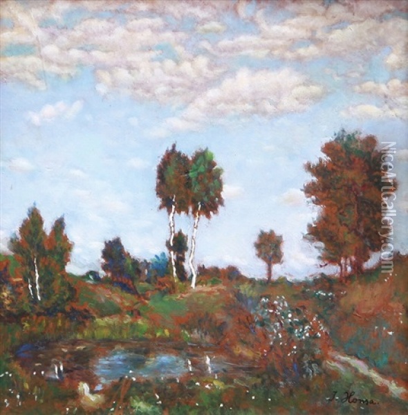Krajina S Jezirkem A Brizami Oil Painting - Jan Honsa