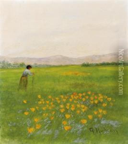 Woman In Field With Flowers Oil Painting - Grace Carpenter Hudson
