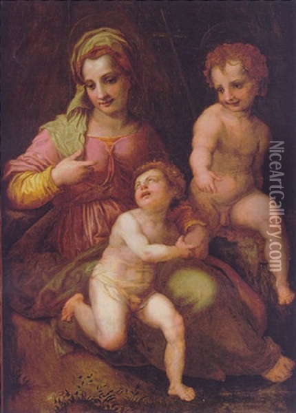 The Madonna And Child With The Infant Saint John Oil Painting - Andrea Del Sarto
