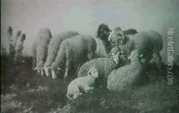 Schafe Auf Der Weide Oil Painting - Bela Pallik