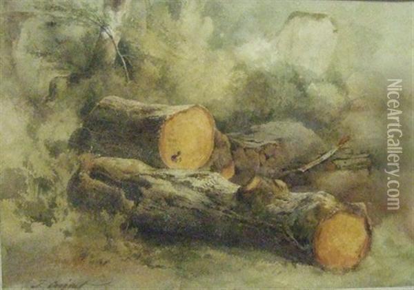 Troncs D'arbres Oil Painting - Jules Louis Phillipe Coignet