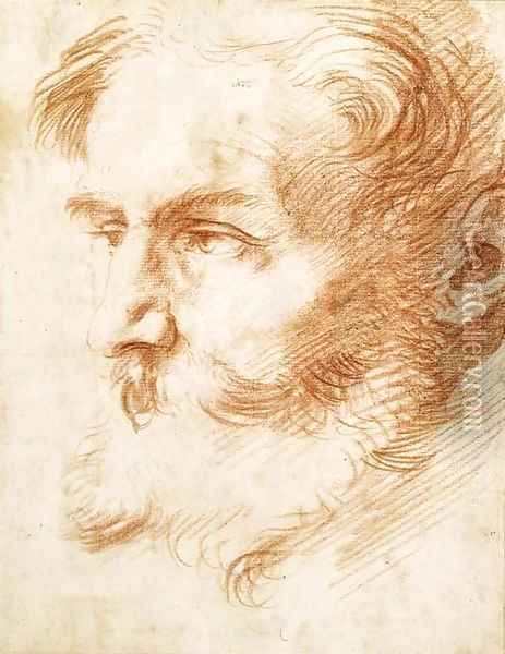 Head of a bearded man, looking to the left Oil Painting - Jusepe de Ribera