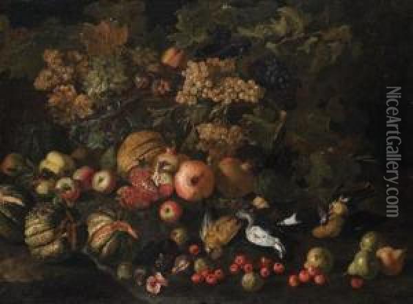 Melograni, Uva, Zucche, Fichi E Pere Con Uccelli Oil Painting - Pietro Navarra