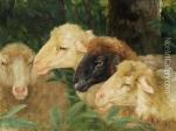 Pecore Oil Painting - Ruggero Panerai