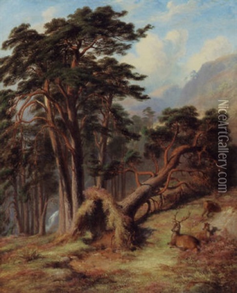 Glen Quoichm Mar Forest - After A Gale Oil Painting - James William Giles