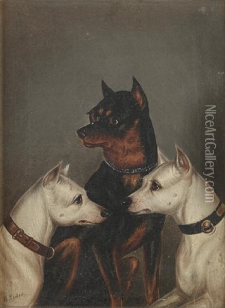 Three Terriers (study) Oil Painting - Edwin (of Bath) Loder
