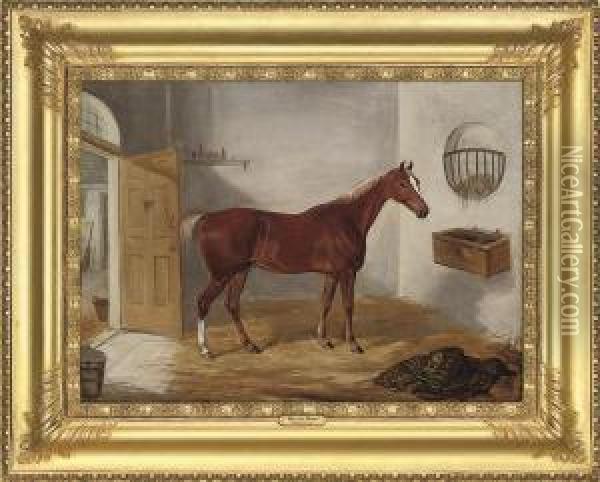 A Chestnut Hunter In A Stable Oil Painting - William Webb