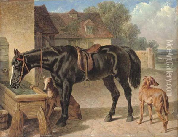 A Farmer's Hack And Greyhounds Oil Painting - John Frederick Herring Snr