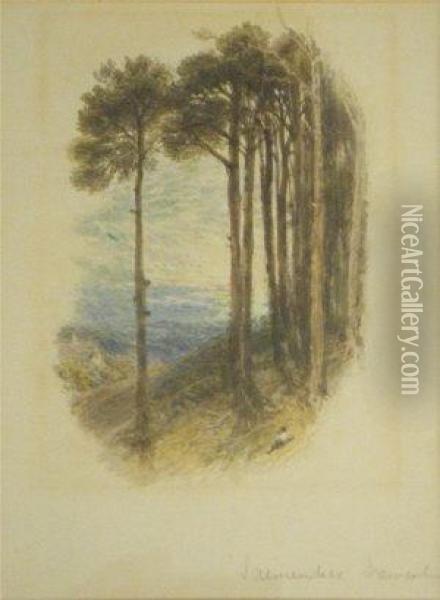 Foster, Watercolour,landscape With Trees And Figure On A Hillside, 5ins X 3.75ins Oil Painting - Myles Birket Foster