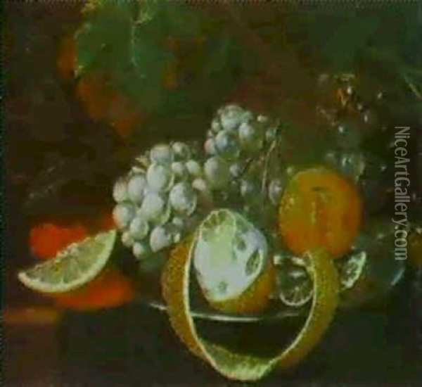 Stilleben Von Weintrauben, Orangen Und Einer Zitrone Oil Painting - Johann Baptist Halszel
