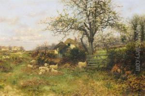 Rural Landscape With Sheep And Trees In Blossom Oil Painting - Sidney Pike