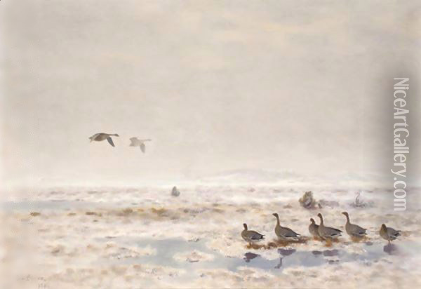 Flyttfaglar (Migrating Wild Geese) Oil Painting - Bruno Andreas Liljefors