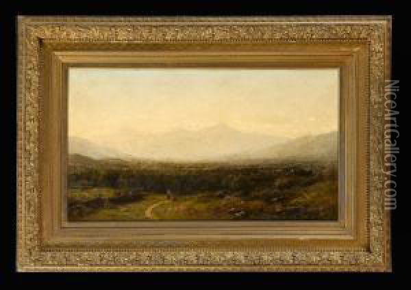 White Mountains, New Hampshire Oil Painting - John Bunyan Bristol