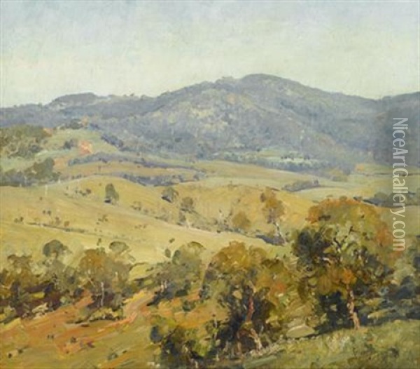 Australian Landscape Oil Painting - Robert Johnson