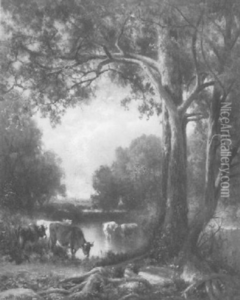 Cattle Watering By A Stream Oil Painting - William M. Hart