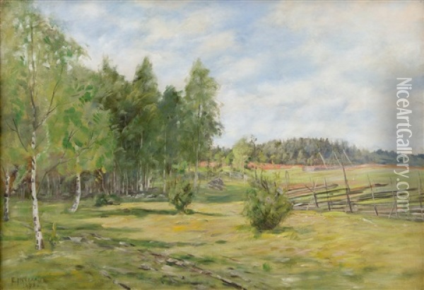 Birch Trees In A Summer Landscape Oil Painting - Elias Muukka