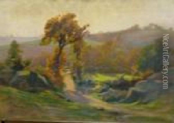 Chemin En Morvan Oil Painting - Etienne De Martenne