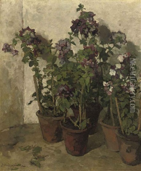 Pots With Purple Flowers Oil Painting - Johannes Evert Hendrik Akkeringa