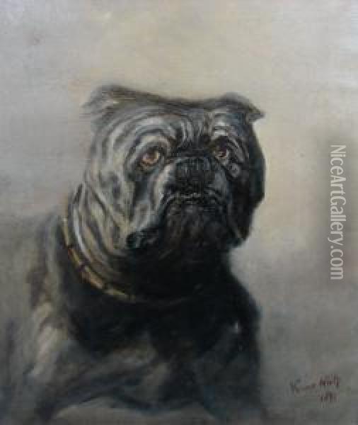 Portrait Of A Bulldog Oil Painting - Verner White