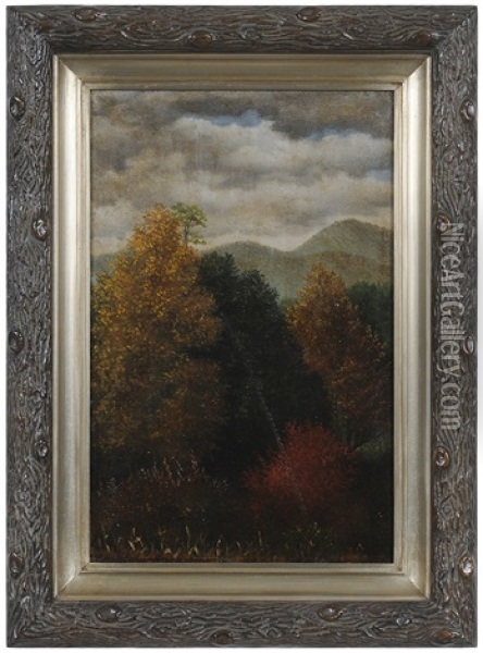 North Carolina Mountain View Oil Painting - William Aiken Walker