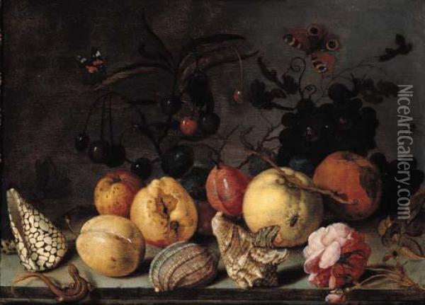 Fruit And Shells, With 
Butterflies, A Dragonfly, A Lizard, A Snail And A Fly On A Stone Ledge Oil Painting - Balthasar Van Der Ast