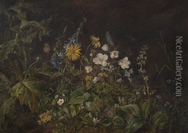 Alpine Flowers Oil Painting - Franz Xaver Petter