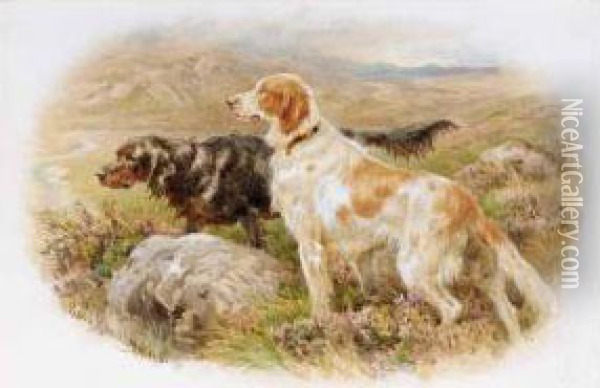 Collies In The Highlands; Setters Oil Painting - Basil Bradley